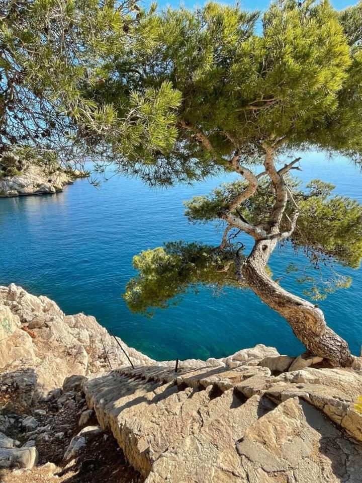 Villa Calanques アンシュエス・ラ・ルドンヌ 部屋 写真