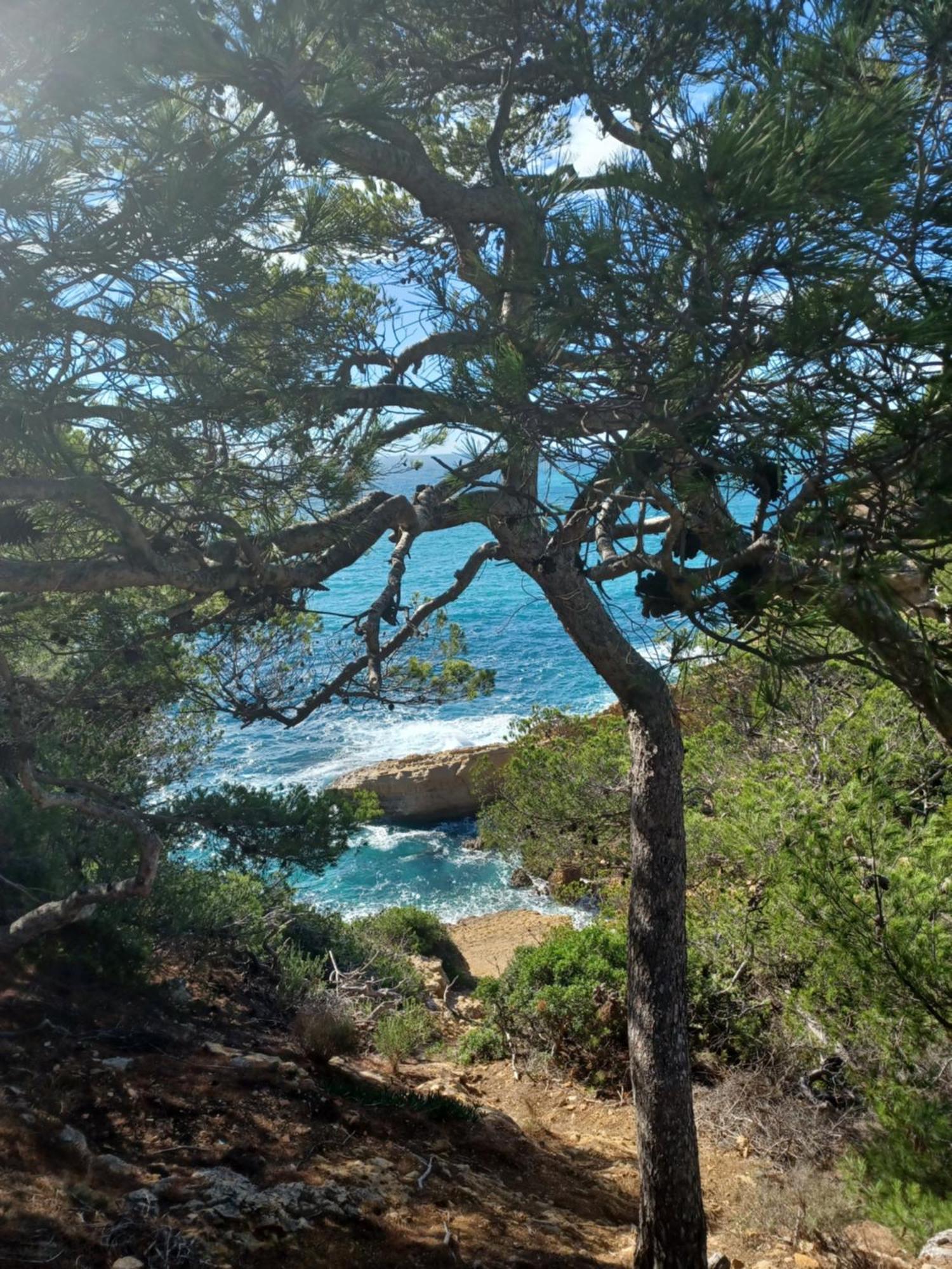 Villa Calanques アンシュエス・ラ・ルドンヌ 部屋 写真